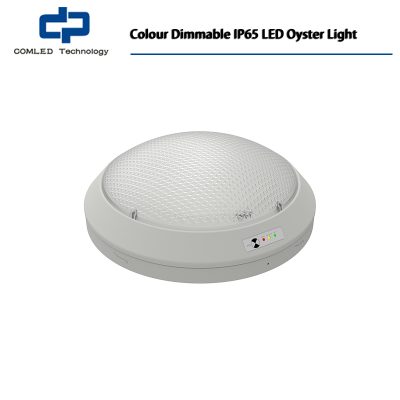 Colour Dimmable IP65 LED Oyster Light, 12" Wide LED Commercial Surface Mount Ceiling Fixture with Field-Adjustable Color Temperature and Universal Voltage