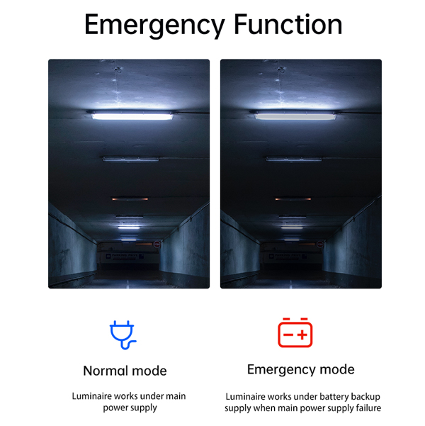 Emergency Function Emergency Function