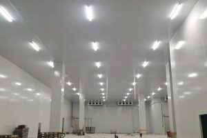 Exhibitions Lighting, LED Waterproof Light Exhibitions Lighting, LED Waterproof Light