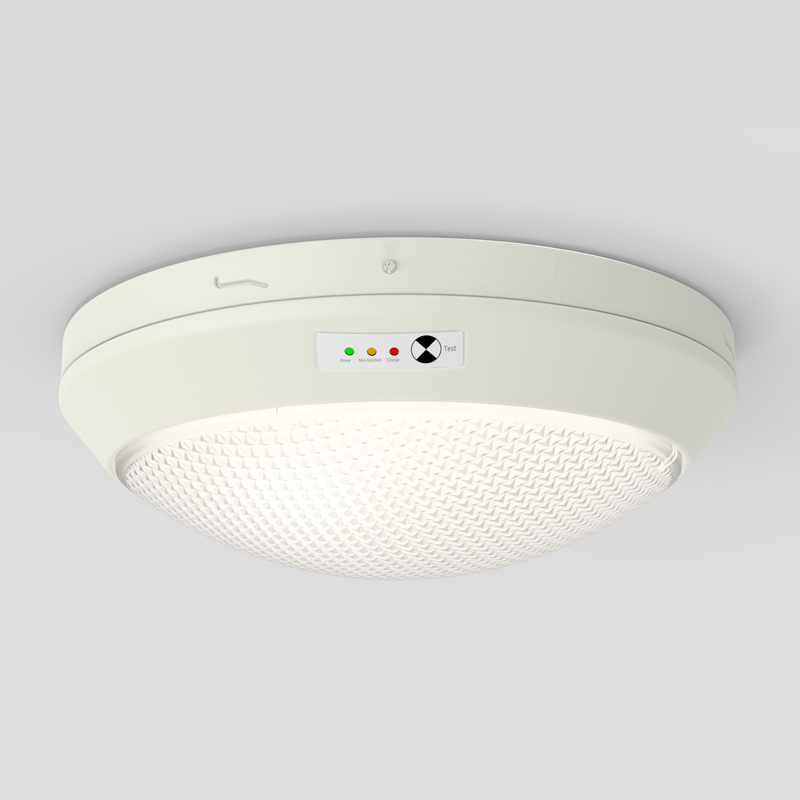 LED Oyster Ceiling Light 300mm LED Oyster Light, Wide Distribution White Indoor Lighting Ceiling Fixtures